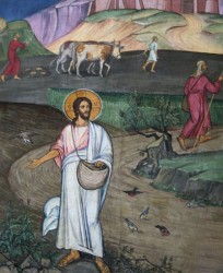 Parabola semanatorului